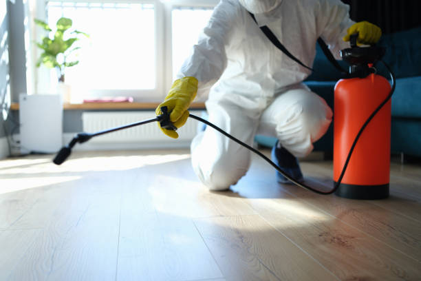 Reliable Biohazard contractor in American Canyon, CA by Trauma Clean Pros